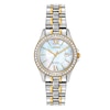 Thumbnail Image 0 of Ladies' Citizen Eco-Drive® Crystal Accent Two-Tone Watch with Mother-of-Pearl Dial (Model: EW1844-50D)