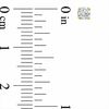 Thumbnail Image 2 of 1/4 CT. T.W. Certified Diamond Solitaire Stud Earrings in 14K Gold