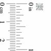 Thumbnail Image 2 of 1/2 CT. T.W. Diamond Solitaire Stud Earrings in 14K White Gold