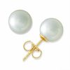 Thumbnail Image 0 of Blue Lagoon® by Mikimoto 7.5-8.0mm Akoya Cultured Pearl Stud Earrings in 14K Gold