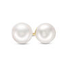Thumbnail Image 1 of Blue Lagoon® by Mikimoto 5.0-5.5mm Akoya Cultured Pearl Stud Earrings in 14K Gold