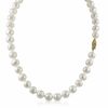 Thumbnail Image 1 of 9.5-10.5mm Freshwater Cultured Pearl Strand with 14K Gold Clasp