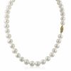 Thumbnail Image 0 of 9.5-10.5mm Freshwater Cultured Pearl Strand with 14K Gold Clasp