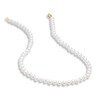 Thumbnail Image 2 of 5.0-6.0mm Freshwater Cultured Pearl Strand with 14K Gold Clasp -16"