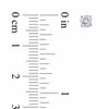 Thumbnail Image 2 of 4.0mm Lab-Created White Sapphire Stud Earrings in 10K White Gold