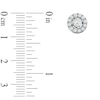 Thumbnail Image 2 of 1 CT. T.W. Diamond Frame Stud Earrings in 10K White Gold