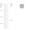 Thumbnail Image 2 of 1/2 CT. T.W. Princess-Cut Diamond Cushion Frame Stud Earrings in 10K White Gold