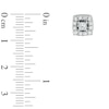 Thumbnail Image 2 of 3/4 CT. T.W. Princess-Cut Diamond Frame Stud Earrings in 10K White Gold