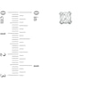 Thumbnail Image 2 of 1 CT. T.W. Diamond Solitaire Stud Earrings in 14K White Gold