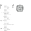 Thumbnail Image 2 of 1 CT. T.W. Diamond Square Cluster Stud Earrings in 10K White Gold