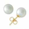 Thumbnail Image 1 of Blue Lagoon® by Mikimoto 7.5-8.0mm Akoya Cultured Pearl Stud Earrings in 14K Gold