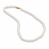 Thumbnail Image 1 of Honora 7.0 - 7.5.0mm Cultured Freshwater Pearl Strand Necklace