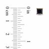 Thumbnail Image 2 of 1 CT. T.W. Princess-Cut Black Diamond Stud Earrings in 10K Gold