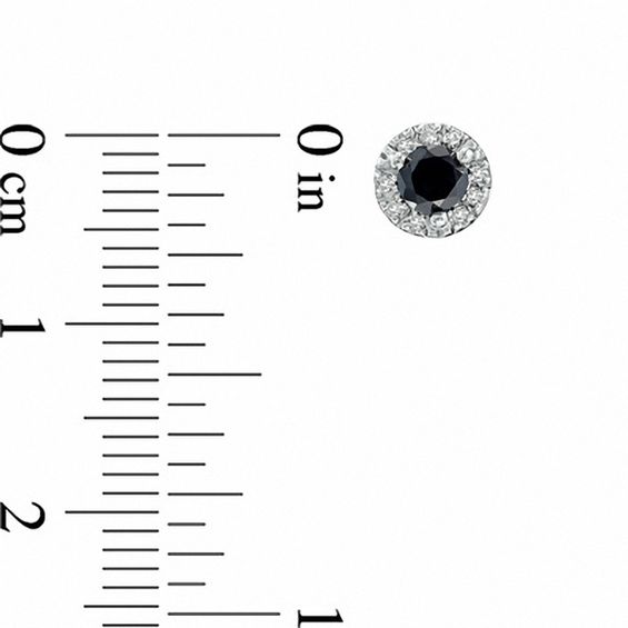 1/2 CT. T.w. Enhanced Black and White Diamond Frame Stud Earrings in Sterling Silver