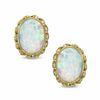 Thumbnail Image 1 of Oval Lab-Created Opal Twist Frame Earrings in 14K Gold