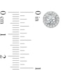 Thumbnail Image 2 of Vera Wang Love Collection 1/2 CT. T.W. Diamond Frame Stud Earrings in 14K White Gold