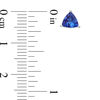 Thumbnail Image 2 of 5.0mm Trillion-Cut Tanzanite Stud Earrings in 10K White Gold