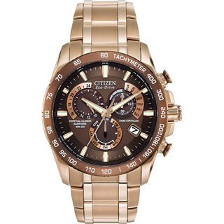 Men's Citizen Eco-Drive® Perpetual Calendar Chronograph AT Watch
