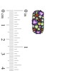 Thumbnail Image 2 of Multi-Gemstone Earrings in Sterling Silver with 18K Gold Plate