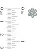 Thumbnail Image 2 of AVA Nadri Crystal Flower Stud Earrings in White Rhodium Brass