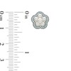 Thumbnail Image 2 of AVA Nadri Simulated Pearl and Crystal Flower Earrings in White Rhodium Brass