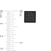 Thumbnail Image 2 of Black Sapphire Square Stud Earrings in Black IP Stainless Steel