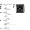 Thumbnail Image 2 of Square-Cut Quad Black Sapphire Stud Earrings in Black Ruthenium Plated Sterling Silver