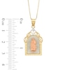 Thumbnail Image 2 of Our Lady of Guadalupe Pendant in 10K Tri-Tone Gold