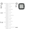Thumbnail Image 2 of 1/4 CT. T.W. Enhanced Black and White Diamond Square Cluster Stud Earrings in 10K White Gold