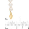 Thumbnail Image 2 of 7.0-8.0mm Freshwater Cultured Pearl Strand Necklace with 14K Gold Clasp