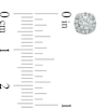 Thumbnail Image 2 of 5/8 CT. T.W. Diamond Frame Stud Earrings in 10K White Gold