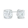 Thumbnail Image 1 of 8.0mm Lab-Created White Sapphire Stud Earrings in Sterling Silver