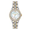 Thumbnail Image 0 of Ladies' Citizen Eco-Drive® Crystal Accent Two-Tone Watch with Mother-of-Pearl Dial (Model: EW1844-50D)