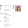 Thumbnail Image 2 of 1/3 CT. T.W. Champagne and White Princess-Cut Quad Diamond Frame Stud Earrings in 10K Rose Gold