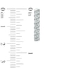 Thumbnail Image 2 of 1/5 CT. T.W. Diamond Double Row Cascading Hoop Earrings in 10K White Gold