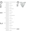 Thumbnail Image 3 of 1/4 CT. T.W. Diamond Solitaire Heart Pendant and Earrings Set in 10K White Gold
