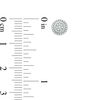 Thumbnail Image 4 of 1/10 CT. T.W. Diamond Circle Frame Pendant, Stud Earrings and Ring Set in Sterling Silver