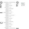 Thumbnail Image 2 of 1/4 CT. T.W. Diamond Solitaire Stud Earrings in 14K White Gold (I/I2)