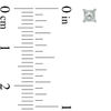 Thumbnail Image 2 of 1/4 CT. T.W. Princess-Cut Diamond Solitaire Stud Earrings in 14K White Gold (I/I2)