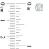 Thumbnail Image 2 of 3/4 CT. T.W. Diamond Solitaire Stud Earrings in 14K White Gold