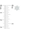 Thumbnail Image 2 of 1/2 CT. T.W. Diamond Star Stud Earrings in 10K White Gold