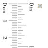 Thumbnail Image 2 of 1/10 CT. T.W. Diamond Solitaire Stud Earrings in 14K Gold