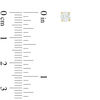 Thumbnail Image 2 of 1/2 CT. T.W. Diamond Solitaire Stud Earrings in 14K Gold