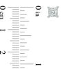 Thumbnail Image 2 of 1/5 CT. T.W. Princess-Cut Diamond Solitaire Stud Earrings in Sterling Silver