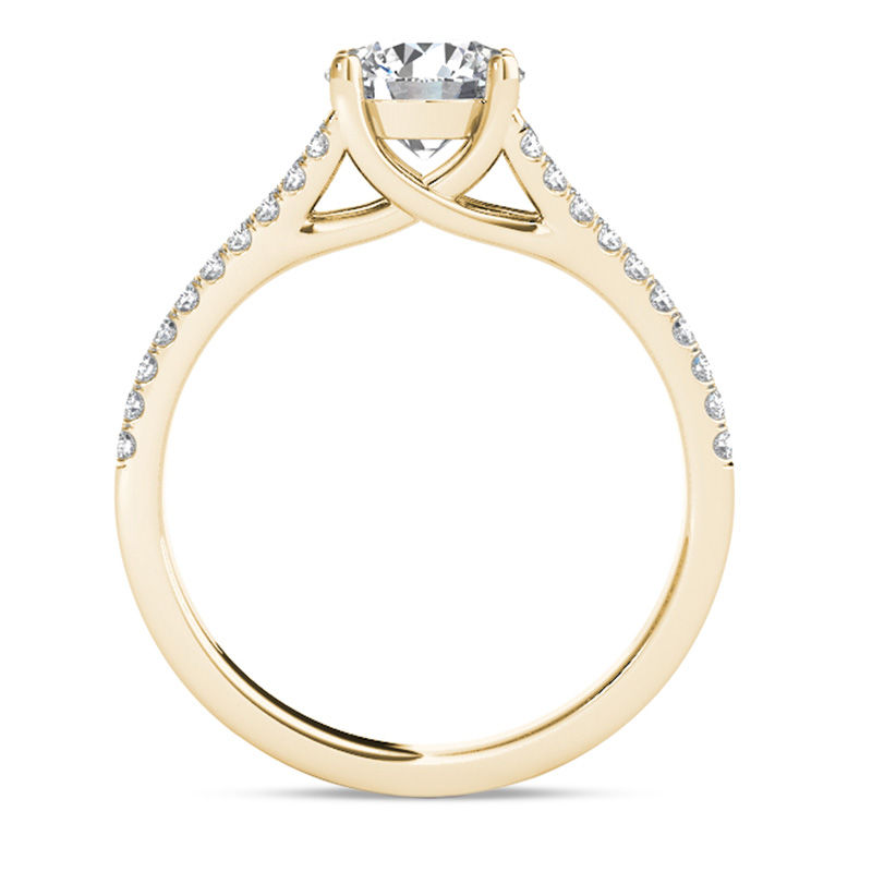 1-1/5 CT. T.W. Diamond Double Row Split Shank Engagement Ring in 14K Gold