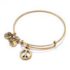 Thumbnail Image 1 of Alex and Ani World Peace Crystal Charm Bangle in Gold-Tone Brass
