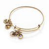 Thumbnail Image 1 of Alex and Ani Bicycle Charm Bangle in Gold-Tone Brass