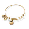 Thumbnail Image 0 of Alex and Ani Apple of Abundance Charm Bangle in Gold-Tone Brass