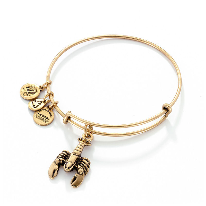 Main Image 1 of Alex and Ani Lobster Charm Bangle in Gold-Tone Brass