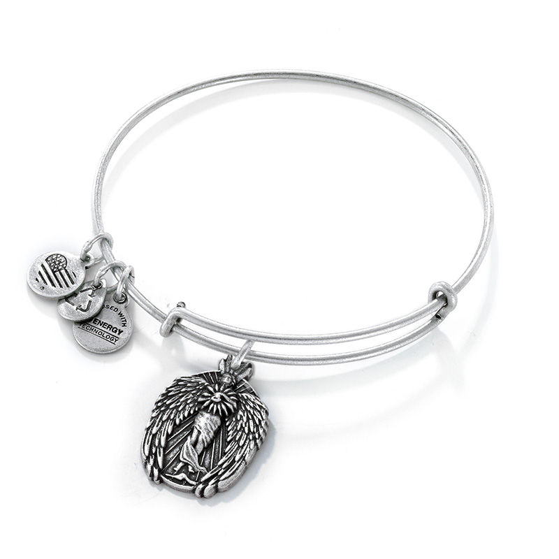 Alex and Ani Guardian of Knowledge Charm Bangle in Silver-Tone Brass